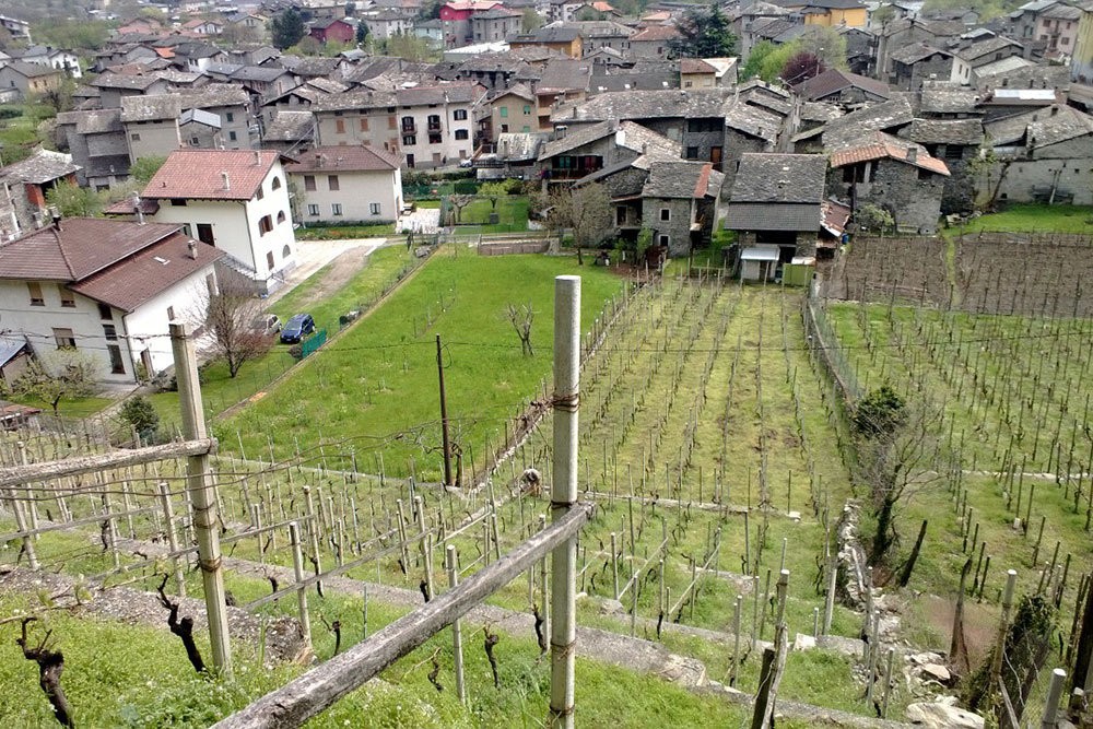 I nostri vini - Hotel Riviera Melide Ticino